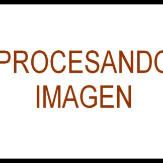 AFICHE RETRO. MAESTRA. IRENE LLATA Y DE LA LLATA 1942 Y MAS