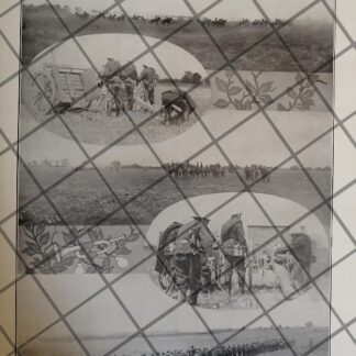 AFICHE ANTIGUO EJERCICIOS MILITARES. INF Y ARTILLERIA 1910