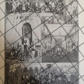 AFICHE ANTIGUO FIESTA Instituto Científico de México 1910