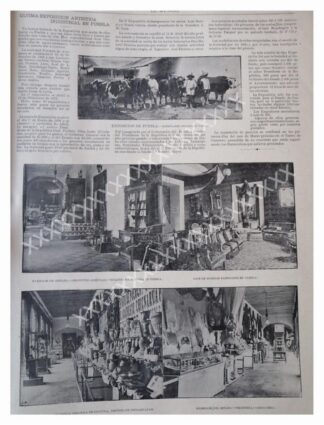 NOTA PRENSA ANTIGUA 1896 EXPOSICION INDUSTRIAL PUEBLA