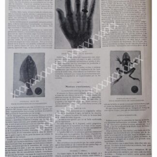 NOTA PRENSA ANTIGUA 1896 LOS PRIMEROS RAYOS X.