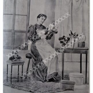 GRABADO ANTIGUO 1896 LEANDRO IZAGUIRRE, GOLONDRINA