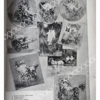 CARTEL ANTIGUO ORIGINAL DE 1897 NIÑOS EN EL TIVOLI DEL ELISEO ASM