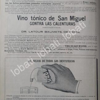 CARTEL ANTIGUO ORIGINAL DE VINO TONICO DE SAN MIGUEL Y OTROS 1899 /611
