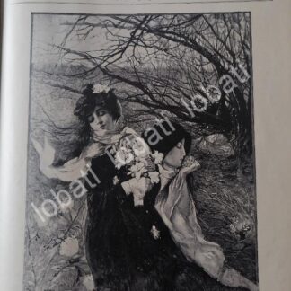 PORTADA ANTIGUA ORIGINAL  ARTISTICA 1899. FLORES DE INVIERNO. POR: MIHAIL SIMONIDY