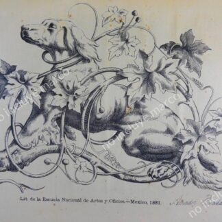 RARISIMO GRABADO ANTIGUO DE AMADOR POSADAS 1881 /PERRO