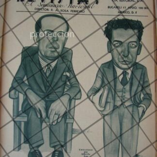 GACETA ANTIGUA 1910. " PAGINAS FEMENINAS " /23