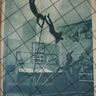 CARTEL ANTIGUO ORIGINAL DE AUTOS MERCEDES BENZ SE 1964 /303