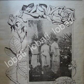 PORTADA ANTIGUA ORIGINAL  1911 EXPOSICION DE FLORES EN SAN ANGEL /LDM