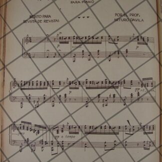 CARTEL ANTIGUO ORIGINAL DE IWA HORIGUCHI 1910 HIJA DE Kumaichi Horiguchi / PLT