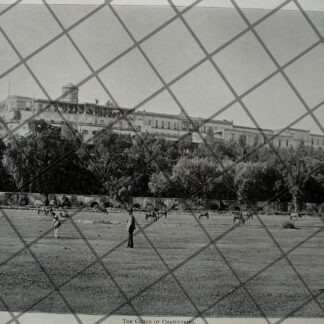CARTEL ANTIGUO ORIGINAL DE PUBLICIDAD ANTIGUA JABON DE LECHE DE BURRA 1909 OCHOA ALCARAZ / SUPER RARO 10+++