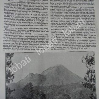 CARTEL ANTIGUO ORIGINAL DE ERUPCION DEL VOLCAN DE COLIMA 1909 Y OTRAS NOTAS