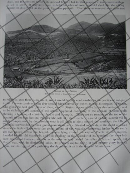 CARTEL ANTIGUO ORIGINAL DE GRANDES FIESTAS EN OAXACA 1909