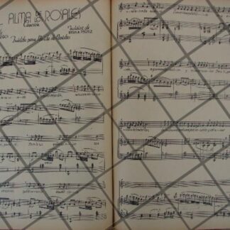 PORTADA ANTIGUA ORIGINAL  1897 CARNAVAL DE MERIDA YUC, FAMILIA NAVARRETE