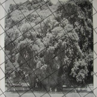 GRABADO ANTIGUO 1897 EL DOMINGO EN LA ALAMEDA. DE JOSE Ma. VILLASANA