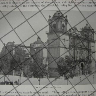 CARICATURA ANTIGUA 1914 PANCHO VILLA EN TORREON / MLT