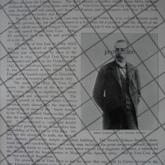 AFICHE ANTIGUO. ESTADO DE VERACRUZ Y TEODORO DEHESA 1897