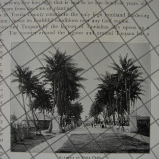 PORTADA ANTIGUA ORIGINAL  1897 EL VERDADERO ROSTRO DE JESUCRISTO /RLG