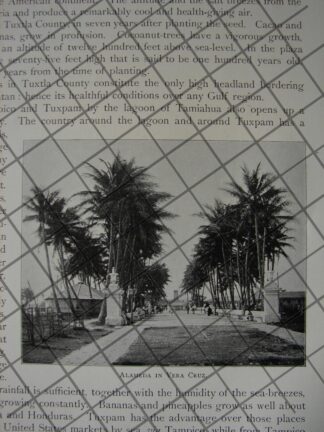 PORTADA ANTIGUA ORIGINAL 1897 EL VERDADERO ROSTRO DE JESUCRISTO /RLG