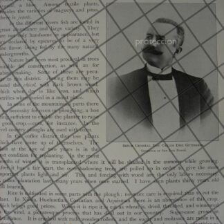 GRABADO ANTIGUO 1910 CAPILLA DE SAN JUAN DE DIOS / RLG