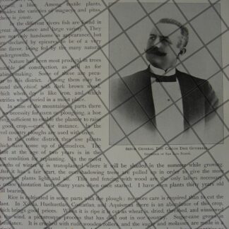 CARTEL ANTIGUO ORIGINAL DE NOTA SOBRE. JUANA TORRES RIVAS 1897 IMAGEN DE VALLETO HERMANOS /ASM