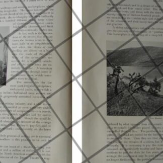 CARTEL ANTIGUO ORIGINAL DE INAUGURAN EL CASINO FRANCES D.F 1909 / ASM