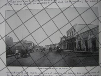 CARTEL ANTIGUO ORIGINAL DE TIENDA DE DECORACION CLAUDIO PELLANDINI 1910 /710