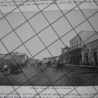 CARTEL ANTIGUO ORIGINAL DE TIENDA DE DECORACION CLAUDIO PELLANDINI 1910 /710