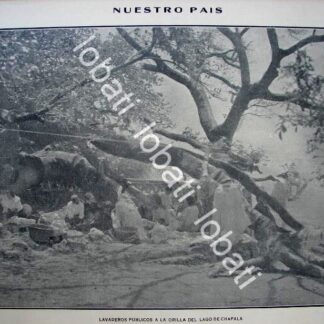 GRABADO ANTIGUO 1910 LAVADEROS DEL LAGO DE CHAPALA / LDM