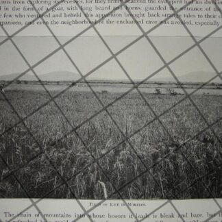 CARTEL ANTIGUO ORIGINAL DE INAUGURAN NUEVAS SALAS EN HOSPITAL BEISTEGUI 1909 / ASM