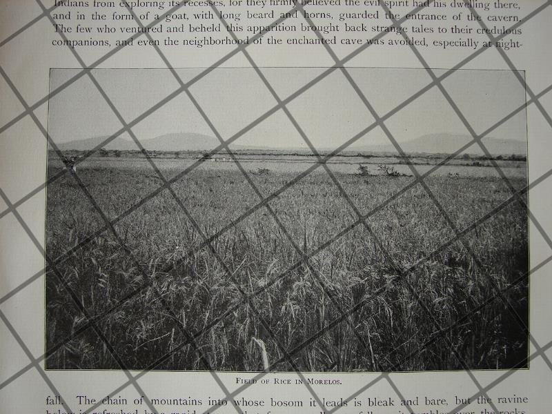 CARTEL ANTIGUO ORIGINAL DE INAUGURAN NUEVAS SALAS EN HOSPITAL BEISTEGUI 1909 / ASM