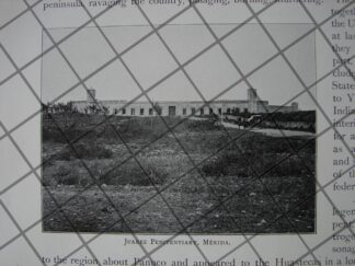 CARTEL ANTIGUO ORIGINAL DE EQUIPO DE BEISBOL CLUB JUNIOR 1910 / ASM DPT