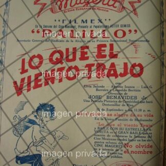 AFICHE ANTIGUO PELICULA. LO QUE EL VIENTO TRAJO /PALILLO 5