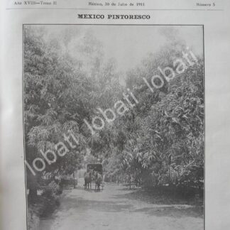 PORTADA ANTIGUA ORIGINAL  1911 PLANTACION DE MANGOS CULIACAN SINALOA /LDM