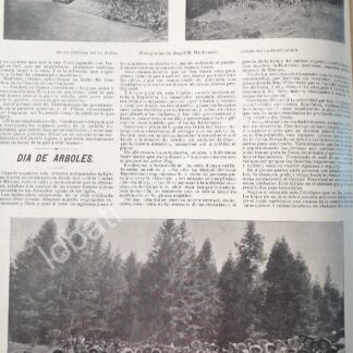 CARTEL ANTIGUO ORIGINAL DE FIESTA DE ARBOLES EN PACHUCA 1898 REFORESTACION