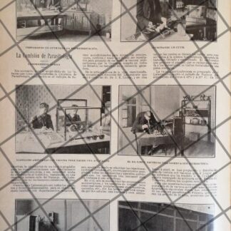 AFICHE ANTIGUO COMISION NAC. DE PARASITOLOGIA 1906