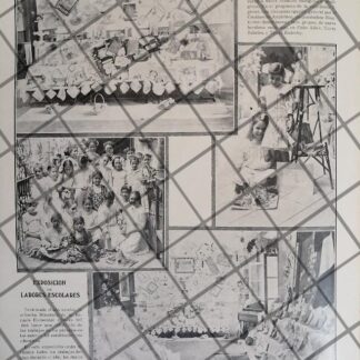 AFICHE ANTIGUO ESCUELA PRIMARIA No. 107 D.F 1911