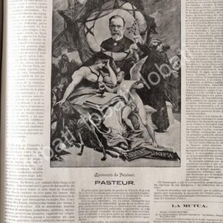 CARTEL ANTIGUO ORIGINAL DE APOTEOSIS & MUERTE DE LUIS PASTEUR 1895 / MDC