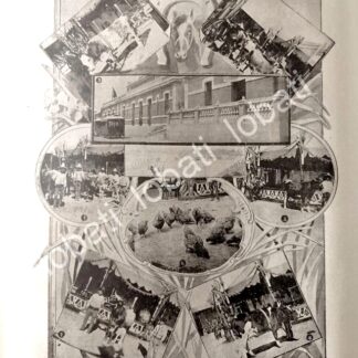 CARTEL ANTIGUO ORIGINAL DE EXPOSICION GANADERA EN COYOACAN 1895 / LDM