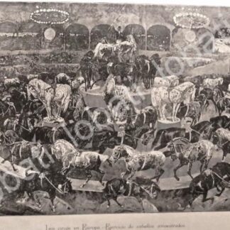 GRABADO ANTIGUO 1895 EL CIRCO EN EUROPA /23