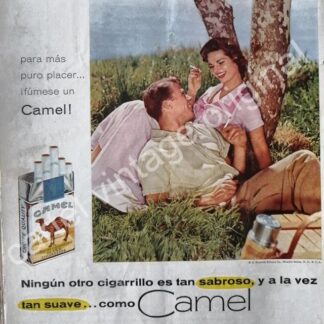 CARTEL ANTIGUO ORIGINAL DE CIGARROS CAMEL 1950s / 10