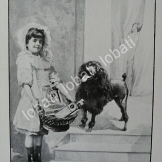 CARTEL ANTIGUO ORIGINAL DE TONICO HIPOFOSFITOS, 1913 PUBLICIDAD ARTISTICA /19