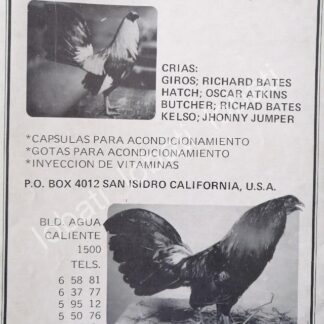CARTEL ANTIGUO ORIGINAL DE GALLOS DE PELEA MANOLO RUBIO 1970s /257