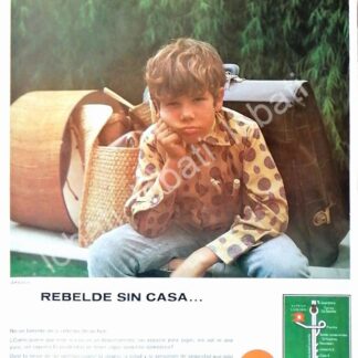 CARTEL ANTIGUO ORIGINAL DE INICIOS DE LA COLONIA LOMAS VERDES D.F 1969 /298