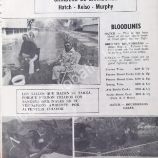 CARTEL ANTIGUO ORIGINAL DE RANCHO SANTA ROSA, DE ARNOLDO OLVERA, TEXAS 1986 /453