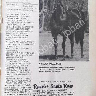 CARTEL ANTIGUO ORIGINAL DE RANCHO SANTA CLARA, TEXAS 1986 /452 FRANKIE STEWART