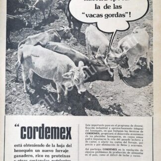 CARTEL ANTIGUO ORIGINAL DE FORRAJE Y ALIMENTO PARA GANADO CORDEMEX S.A /577 RARO