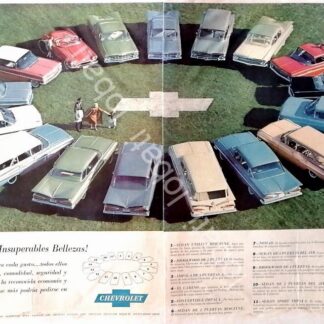 CARTEL ANTIGUO ORIGINAL DE AUTOS CHEVROLET 17 MODELOS DE 1969 / 830