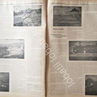 CARTEL ANTIGUO ORIGINAL DE CONFLICTO Y POSIBLE GUERRA MEXICO Y GUATEMALA 1894 /PLT /MLT