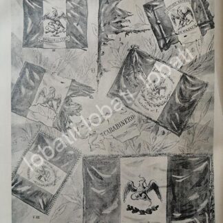 GRABADO ANTIGUO 1895 TODAS LAS BANDERAS MEXICANAS HASTA ESE AÑO
